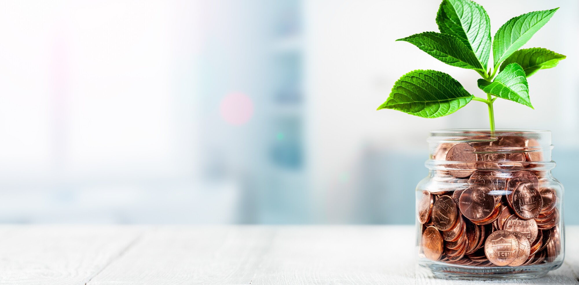 Nutmeg State Financial Credit Union Consumer and Business Banking