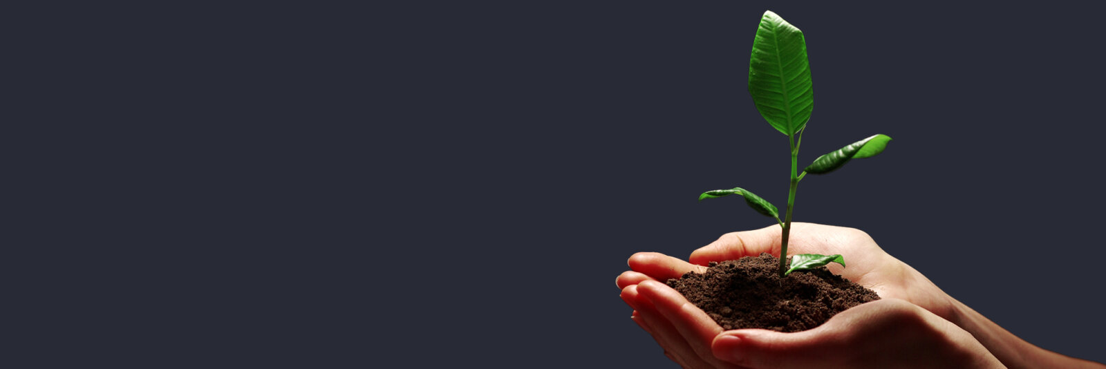 Spring Ahead with Competitive CD Rates